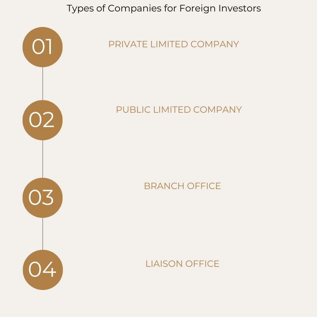 Types of Companies for Foreign Investors
